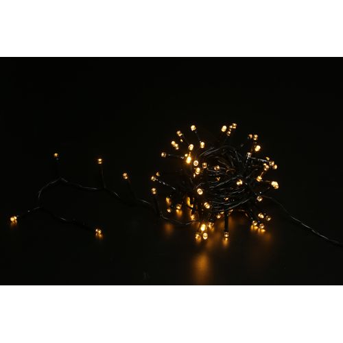 Central Park Lichtslinger 100 Led Warm Wit 5,5m